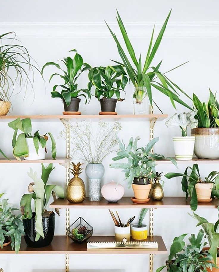 Simple but Stylish DIY Branch Wall Anita Yokota